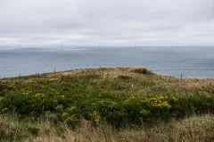 The Block Island wind farm is the first operational offshore wind farm in the United States. It consists of five wind turbines which powered up in December 2016 and were connected to the mainland energy grid in May 2017. 