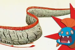 Illustration of a real oarfish vs the Pokémon counterpart. 