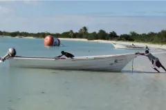 A screenshot from the video of a boat pulled up on a beach. 