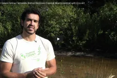 A screenshot from the video showing a volunteer talking about mangrove restoration.