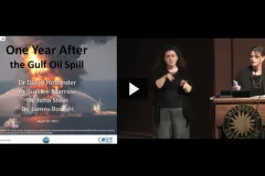 Screenshot of Nancy Knowlton speaking at "Lecture: One Year After the Gulf Oil Spill"