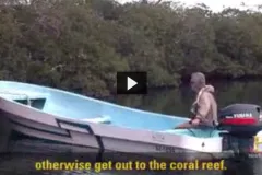 Screenshot of "Investigating Nutrient Pollution's Impact on Mangroves" showing a boat heading into the mangroves. 
