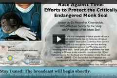 Screenshot of opening slide for lecture "Efforts to Protect the Critically Endangered Monk Seal."