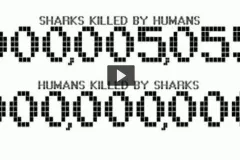 Screenshot of video "100,000,000 to 000,000,001: Rethink the Shark"