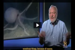 Screenshot from video of a scientist discussing experience in a submersible. 