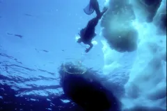 a cold water dive