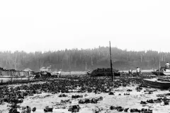an old image of the sea coast