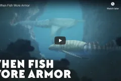 ancient fish
