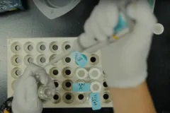 Screenshot from video showing hands of researcher wearing gloves and pipetting.