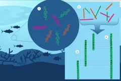 An illustration that depicts genomes coming from the environment.