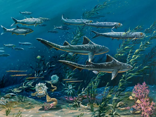 an ancient ocean seascape