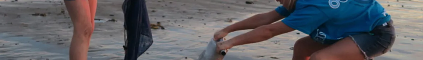 Two people help to clean up human trash from a beach.