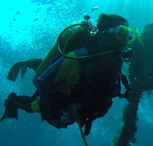 L.K. Ward SCUBA diving in blue water