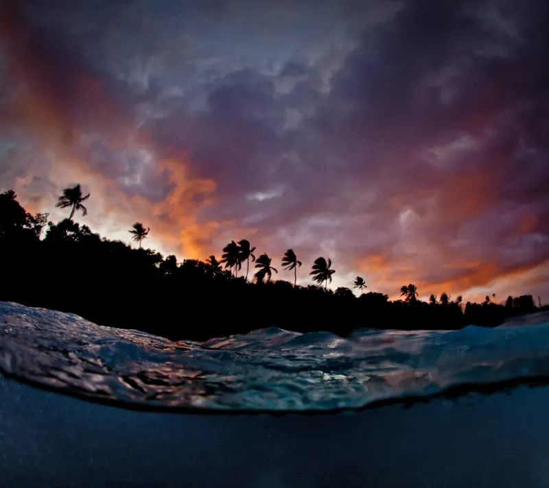 "This shot was taken during a dusk dive in Southern Leyte in the Philippines. I ended the dive with an amazing sunset," wrote Paul Cowell of his winning image.
