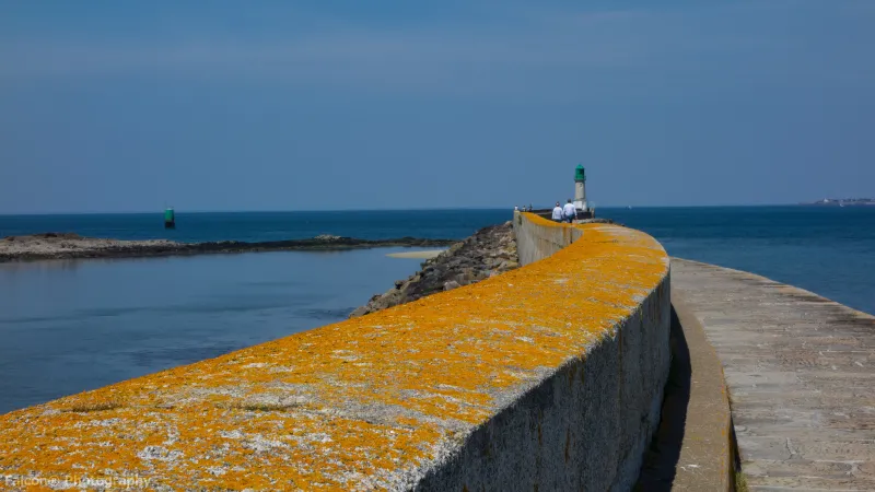 Sea walls must be maintained consistently and will need to be built higher and higher as sea level rises. This type of man-made barrier also has implications for the natural coastline.