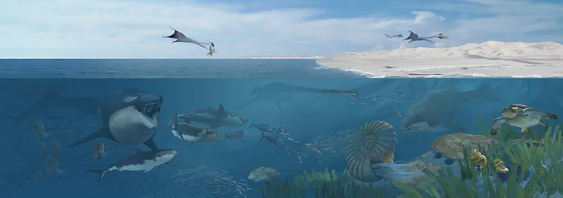 An illustration depicting many sea animals living in the Cretaceous seas off Angola.