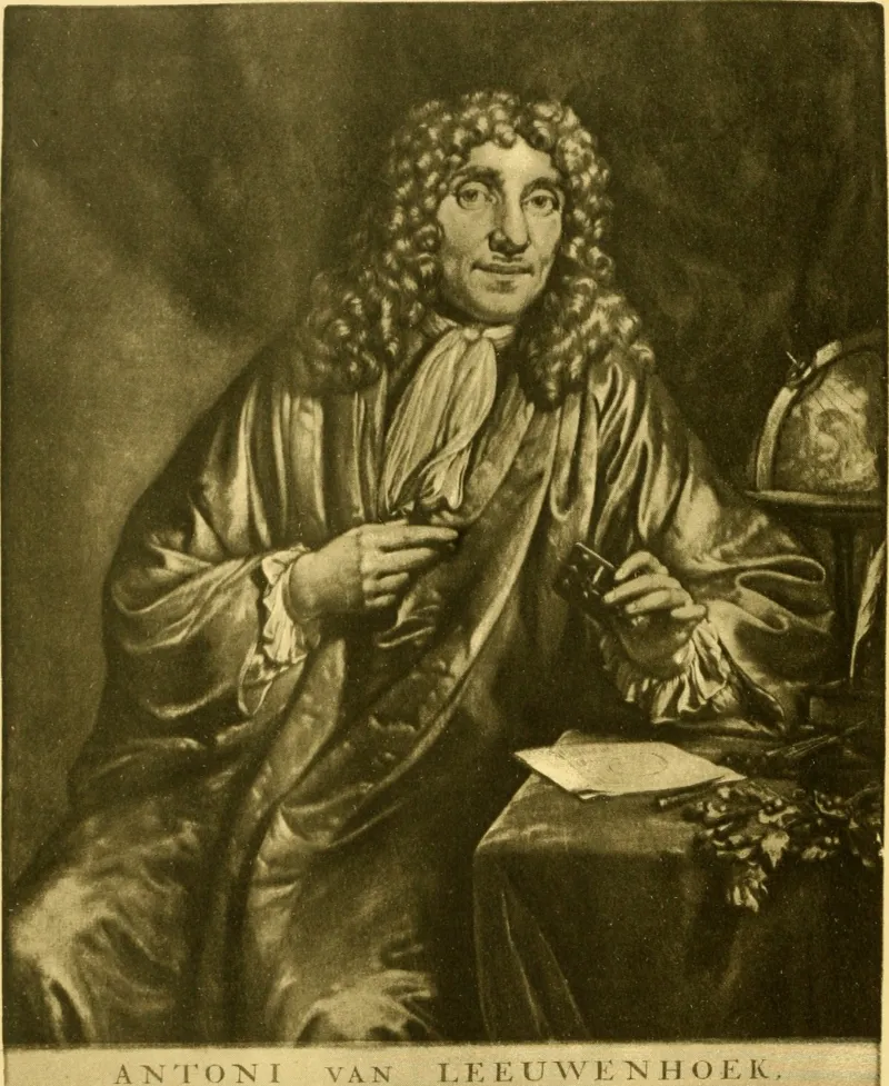 an old drawing of Leeuwenhoek