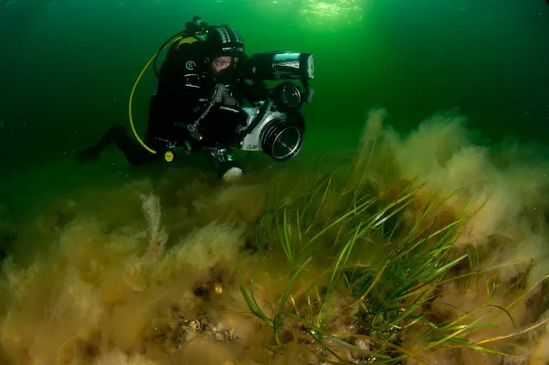 A SCUBA diver in taking photographs in the Baltic Sea. 