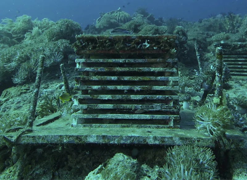 Biodiversity in Bali An Autonomous Reef Monitoring Structure (AMRS) placed on a reef in Bali.