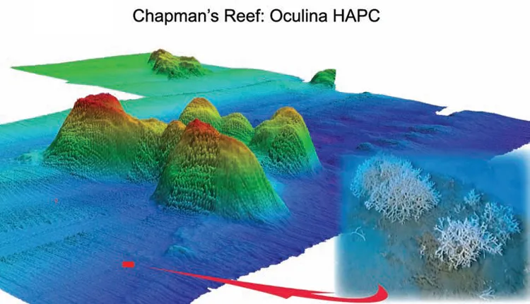 3-D map of Chapman’s Reef. Produced in 2005 with multibeam sonar from an autonomous underwater vehicle (AUV).