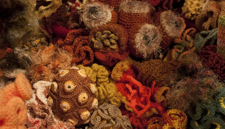 Detail of The Smithsonian Community Crochet Reef