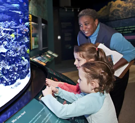 Two young visitors look into the coral reef aquarium at the Smithsonian's Sant Ocean Hall