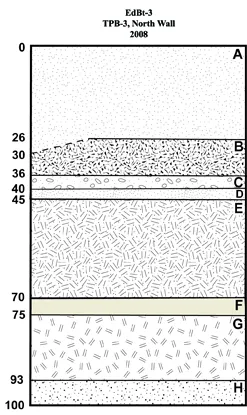 A diagram of the different soil layers located at Hare Harbor, Quebec in 2008. Wood chips were located at the deepest layer, then whale bone, then codfish bones.