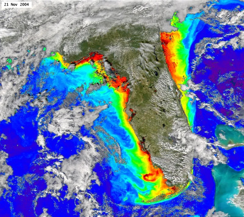 an algae bloom around Florida is documented by a satellite