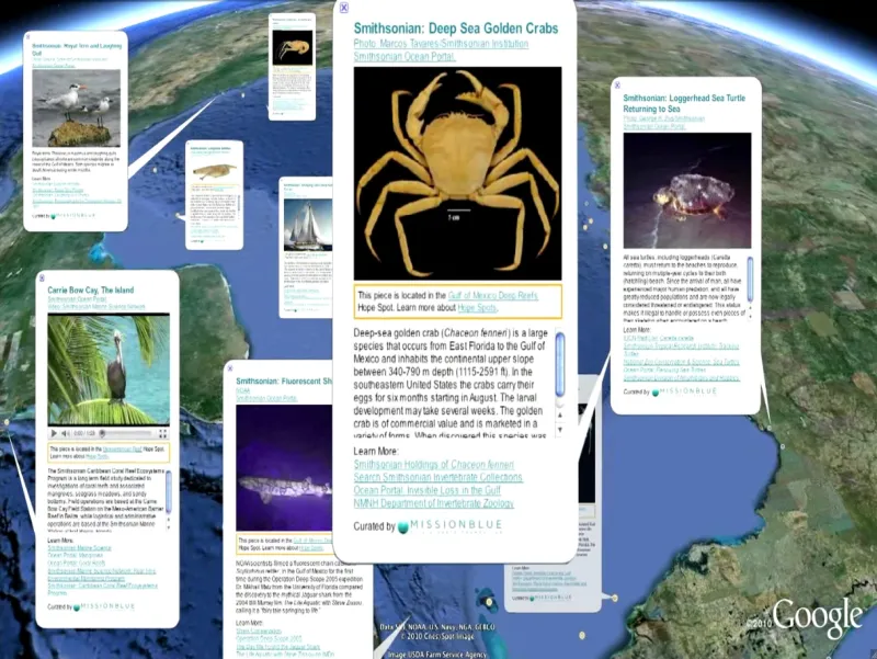 A screenshot of some of Smithsonian's marine story windows in Google Earth