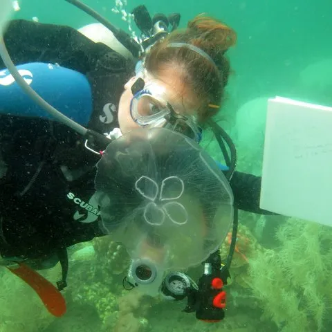 Amanda Feuerstein with a jellyfish while SCUBA diving