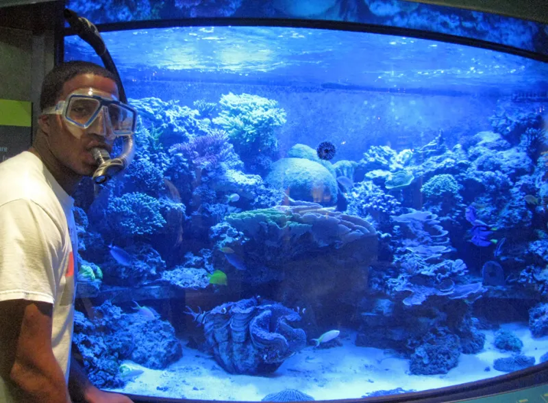 Ocean Portal summer 2011 intern Brandon Adkins poses next to the aquarium in the Smithsonian's Sant Ocean Hall.