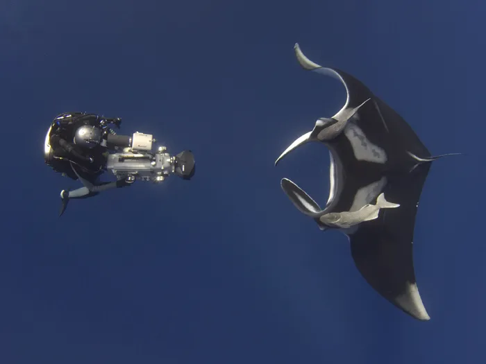 A manta ray meets a diver face-to-face near San Benedicto, Mexico.