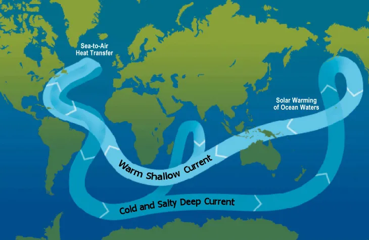 The global conveyor belt moves water all around the world. 