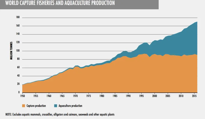 A graph of fisheries and aquaculture