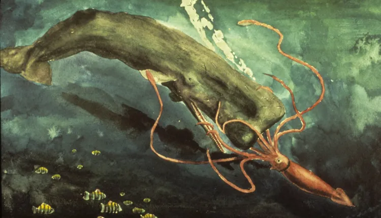 In this painting, a giant squid engages in a struggle for survival with a sperm whale.