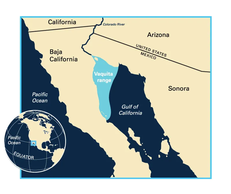 Map showing vaquita range in the Gulf of California with inset showing the Western Hemisphere and equator.