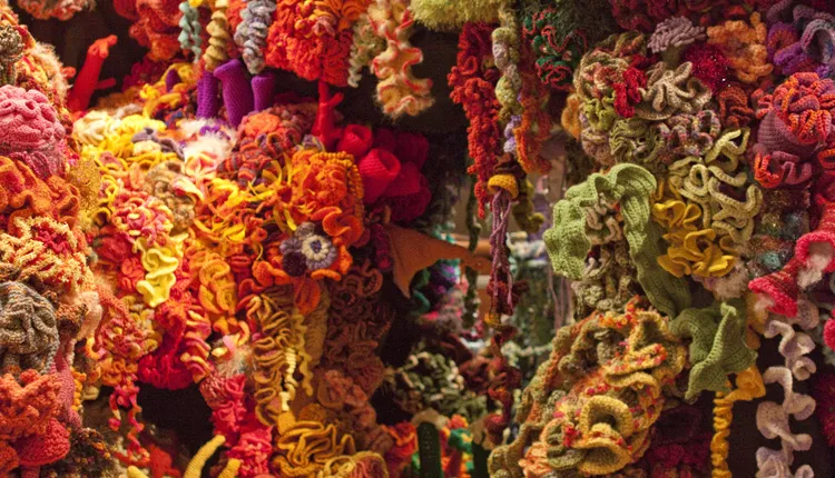A piece of the Hyperbolic Crochet Coral Reef exhibit.