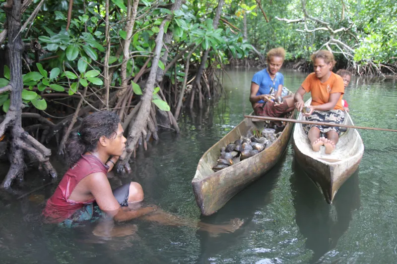 women in dugout canoes in the mangrove forest