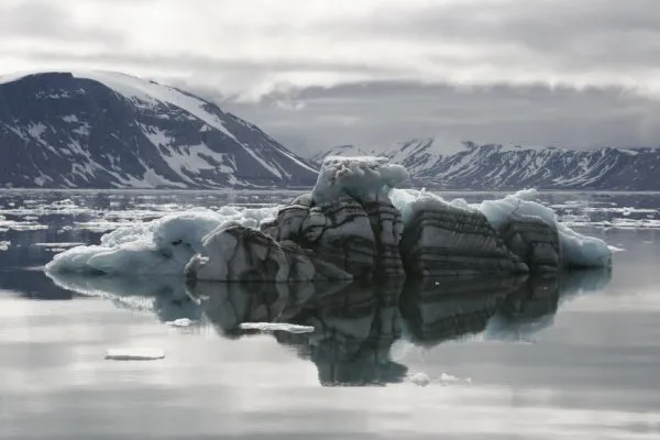 Human activity is increasing in the Arctic marine environment due to climate change. To help the most vulnerable areas, the Global Marine Program of IUCN, along with partners, is convening a series of workshops aimed at enhancing ecosystem-based management and identifying biologically or ecologically important or vulnerable habitats. Burgerbukta, a bay in Svalbard, Norway, is being managed for ecosystem protection.