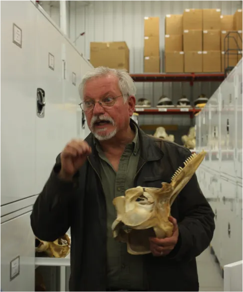 Charley Potter, Marine Mammals Collection Manager, holding a dolphin skull at the Museum Support Center. The Smithsonian National Museum of Natural History houses a collection of hundreds of whale earwax plugs. 