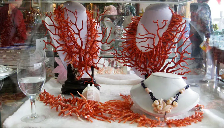 Red coral necklaces in a display window. Harvesting deep-sea coral to produce jewelry like this threatens these ecosystems. 