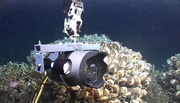 Lights attached to this deep-sea camera system enable scientists to capture detailed images of deep-sea corals in otherwise dark water.