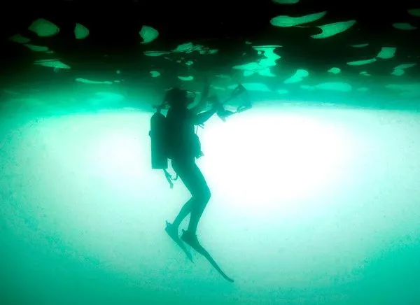Collecting Invasive Species on a Boat Hull A diver clears the bottom of a cargo ship of specimens.