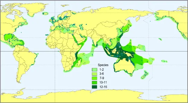 Seagrasses are found across the world, from the tropics to the Arctic. Shades of green indicate the number of species reported for a given area. The darker shades of green indicate more species are present.