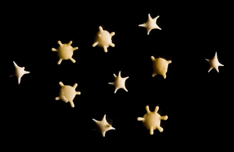 10 grains of star shaped sand collected from southern Japan