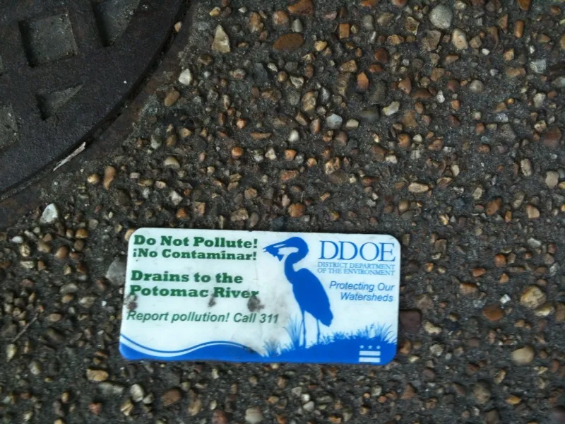 A placard warns residents that water—and anything else—that goes own this storm drain makes its way into the Potomac River and, eventually the ocean.