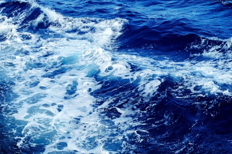 the foamy surface of the ocean