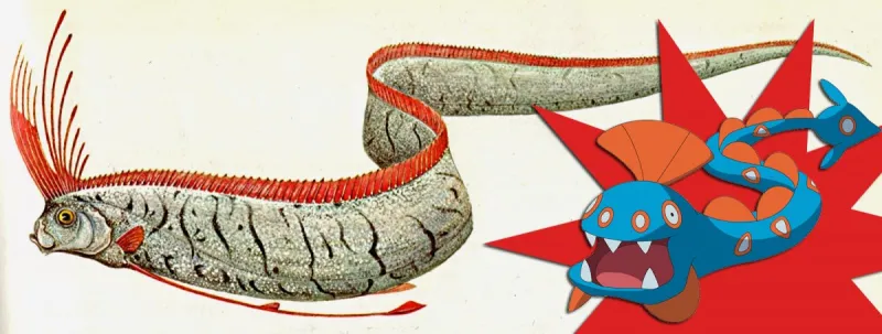 Illustration of a real oarfish vs the Pokémon counterpart. 