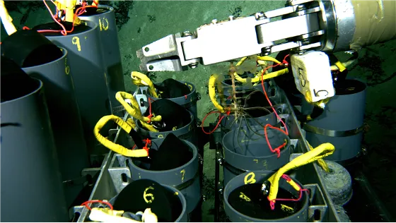 A robotic arm puts samples in containers