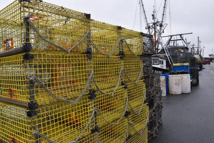 Yellow lobster traps sit on a dock ready to be loaded onto a boat. 